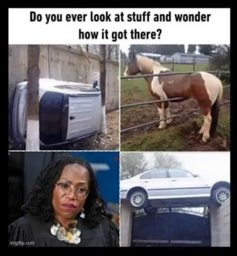 TESTHUB_photos_users_r6NeznJDMfWE20MOIU2srF5JKBB3_vT565s)L7A,bo16^mMLo_img_rsz__1100x1100