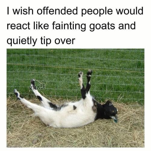 6E13C7AF-7628-4A91-8BC1-5E45E763348D