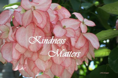 474960741_122200758704188096_4058771695253668034_n