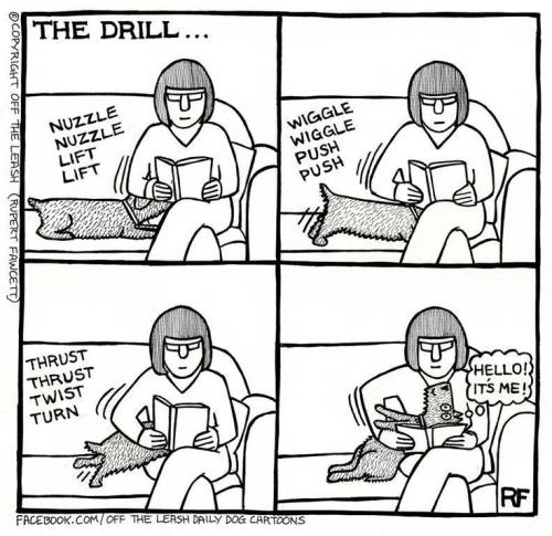 3b023560b8d76f7e5ea3b067f44a9238