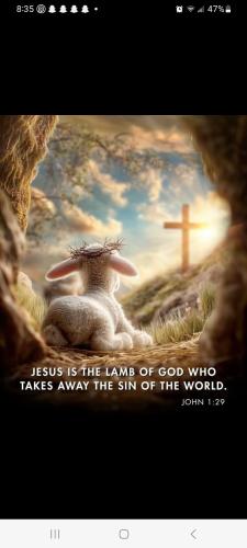 Screenshot_20260329_203522_Facebook