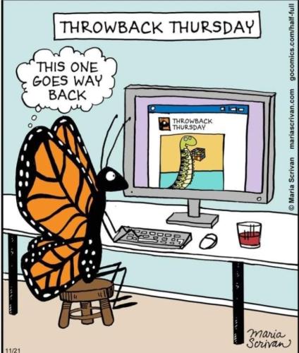 Screenshot_20260409_064917_Gallery