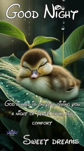 5a3b5f661033e0232d4128f0af26d3f1_1024