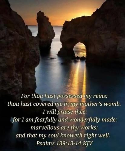 98fea493-f6fc-410d-a5e6-feed1778d4ab