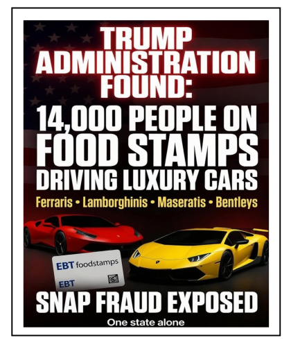 snap fraud