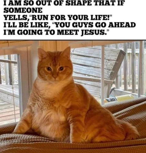 Screenshot_20260425_125108_Gallery