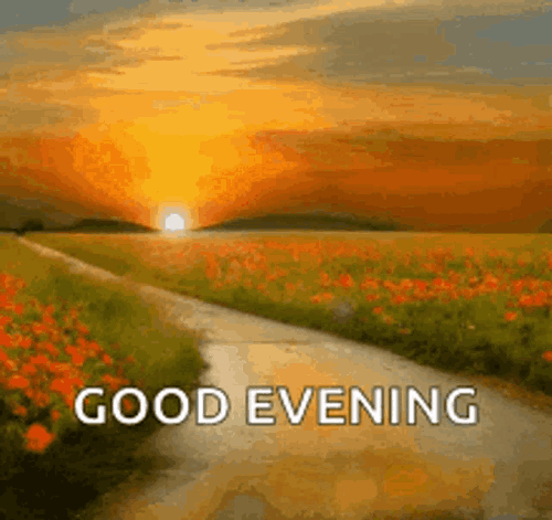 3f8835b8-7f71-4036-95b6-f423ea106231