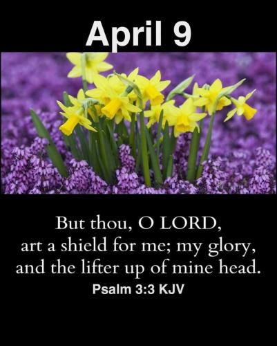 668339493_1381864637307593_4434954144873392598_n