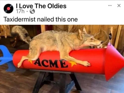 taxidermist-nailed-it