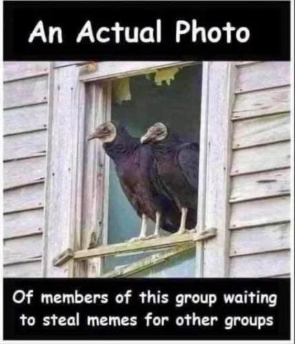 photo-members-waiting-to-steal-memes