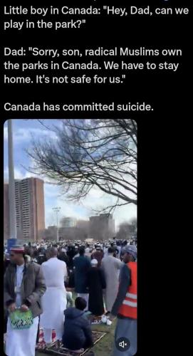 dbde8a0b-8888-4d5b-9a0a-34afeeaac504