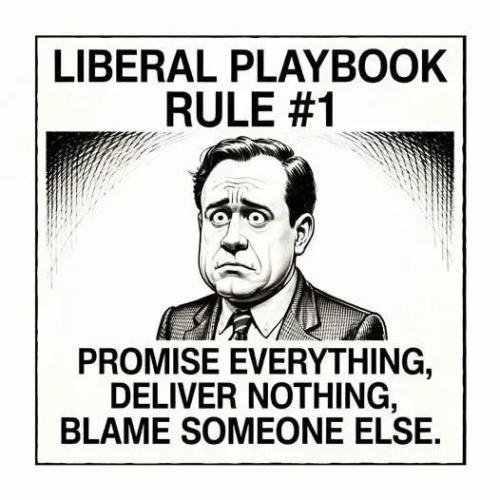 liberal_playbook_promise_everything_deliver_nothing_dem