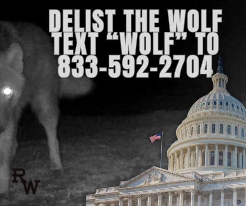 FB_IMG_1777000267014