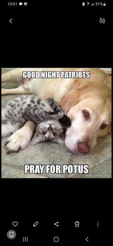 Screenshot_20260322_211659_Gallery