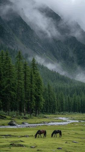 669668658_1488414715973768_4847361922576936898_n