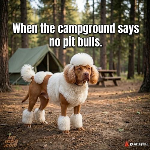 _main-qimg-96dec34148b301c98253bc2d2a4f50cf