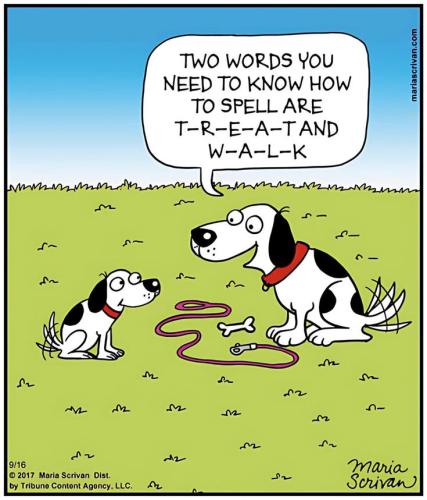 54cceae772b4d7749454ad74ce77ceee