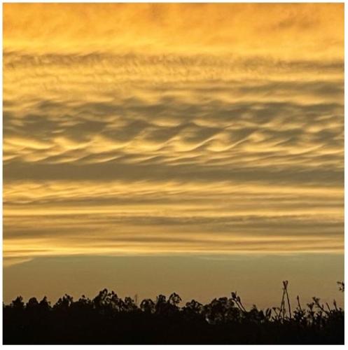 9d5a3cb5-b679-4309-b30f-e32f0b877606