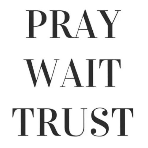 TESTHUB_photos_users_KPBY8Tc46ldqLjWXf6bqxqOW3AR2_-OpA9ylPpggKeh_x0pV2_img_rsz__1100x1100