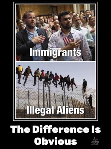 _main-qimg-53de2127973297e41f7808d7abfb9208