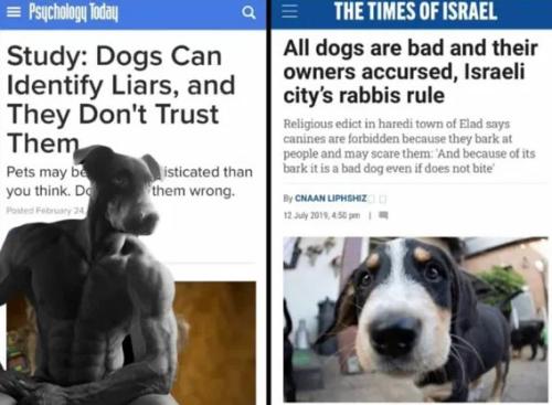 514c63624e1c8374b62ec8b2c2215b47