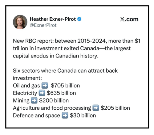 RBC report