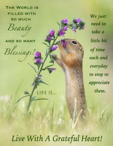 8002a1cb-9382-4657-b2a6-4fd4eca1124c