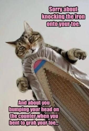 b7f437aee33aec671d4301eccff9b1e3_1024