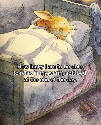 TESTHUB_photos_users_KPBY8Tc46ldqLjWXf6bqxqOW3AR2_-OpGdzcZcZlLK7K39bU__img_rsz__1100x1100