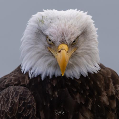 654277058_122217313016317042_5062143644152385849_n