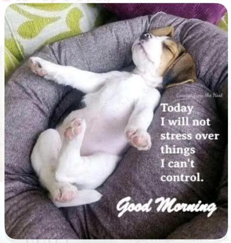 e192df7f13c5189065244737be870100