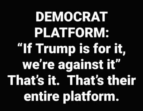 democrat-platform