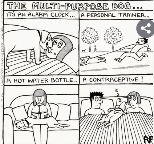 7626791aaecb72db79cd9b122bad0b2a