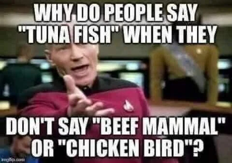 tuna-fish
