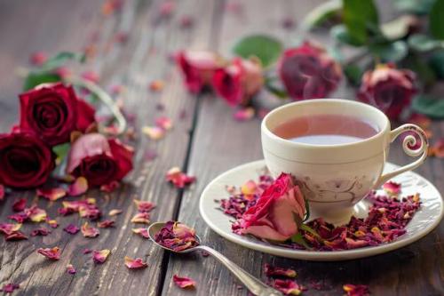 658849489_924241223827722_6538343067286526532_n