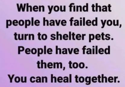 9b697a914b052bfef7f0a269f07f5460