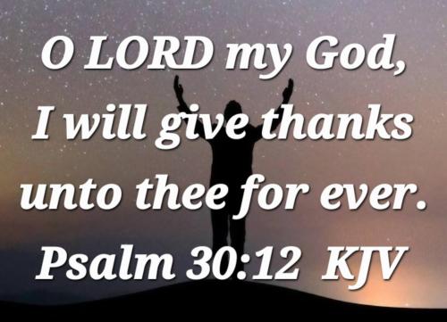 e61c706c-78e3-486f-8813-0097cbc4722d