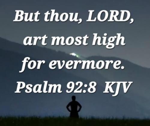 e430e541-4bf8-42ec-98be-ff95edc34e4e