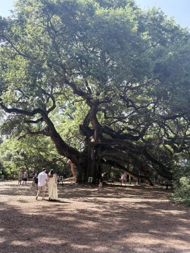 671541949_2226153328154968_1358096221908353305_n