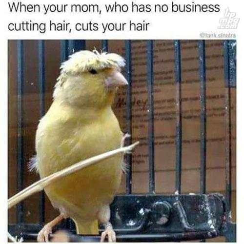 _main-qimg-c63fd07db8404b0d41edadab56fce90c-lq