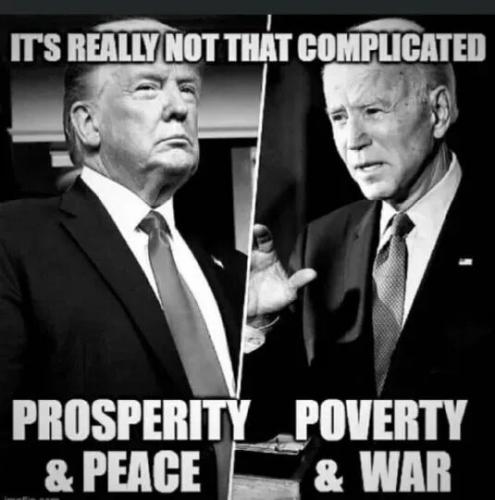 TESTHUB_photos_users_KPBY8Tc46ldqLjWXf6bqxqOW3AR2_-Op9KPfMU7vjfn4rvns2_img_rsz__1100x1100