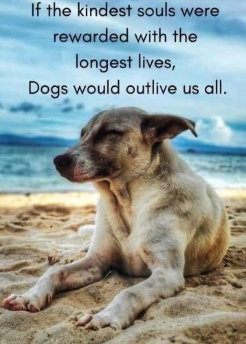 57d30509-d2d4-4b1f-91b5-5a5facfbd816