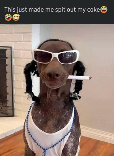 FB_IMG_1775345096911