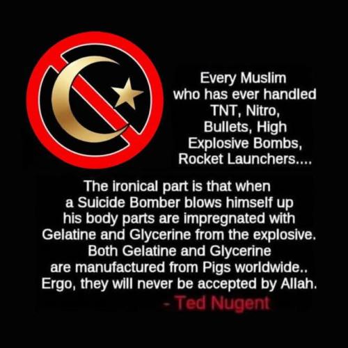 FB_IMG_1775215486839