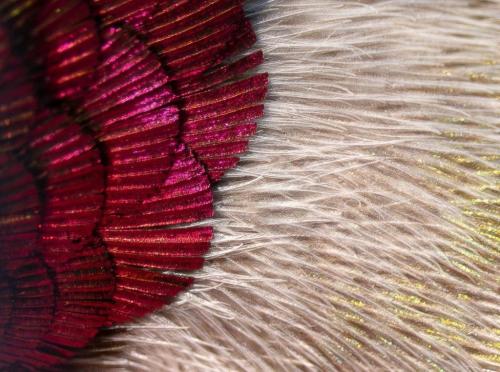 RDT_20260417_0731576439847559827002695