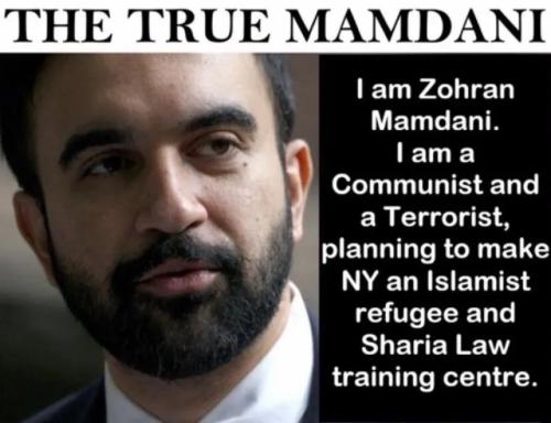 17767654596552496968802772273104_2003406993867056