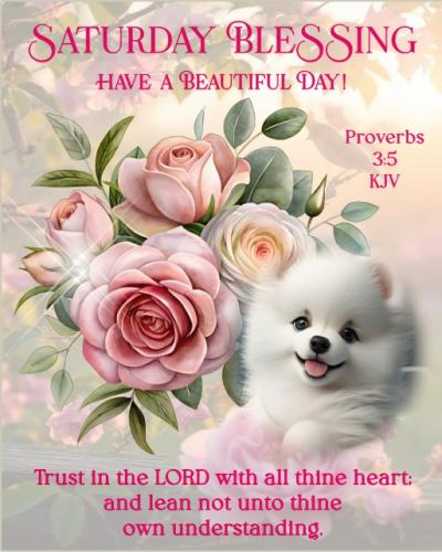 668478945_1260029906344250_1093175239773511871_n