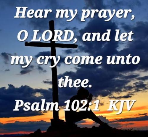 a37362c3-d709-4413-a7c8-08b19ae9412a