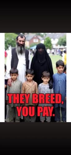 da811659-e930-4b06-94f9-609d09193752