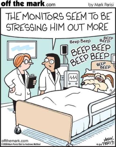 vZVCN3OZi7dUozf7BvTp_25_ee75fcc484c30dbcd027a79e713cf563_image